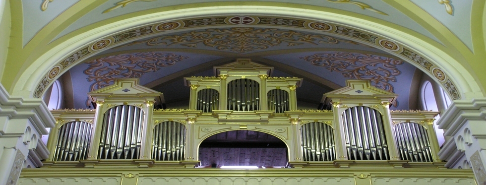 Organy w parafii p.w. św. Marcina